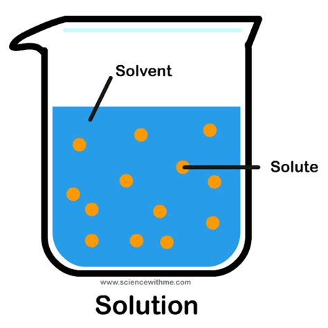 Science With Me Learn About Solutions