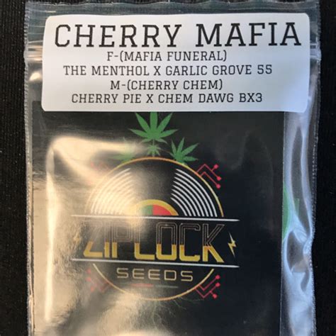 Ziplock Seeds Cherry Mafia 12 Regular Seeds Gaslamp Seeds