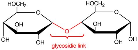 Glycosidic Link Chemistry Libretexts