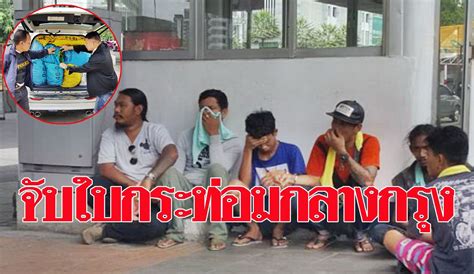 พ.ร.บ.ยาเสพติดฉบับใหม่ ปลด ใบกระท่อม จากยาเสพติด โดย pptv online เผยแพร่ 26 พ.ค. เย็บผ้าไม่พอกิน!รวบหนุ่มโรงงานหันค้าใบกระท่อมบิ๊กล็อต แบ่ง ...