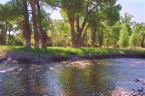 Lonetree Ranch Bates Land Consortium