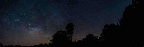 Fotos Gratis Naturaleza Bosque Brillante Cielo Madera Noche