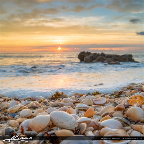 Beautiful Sunrise At Beach With Seashells Hdr Photography By Captain Kimo