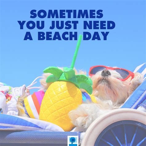 Beach Memes That Will Have You In The Topsail Vacation Mood Vacation