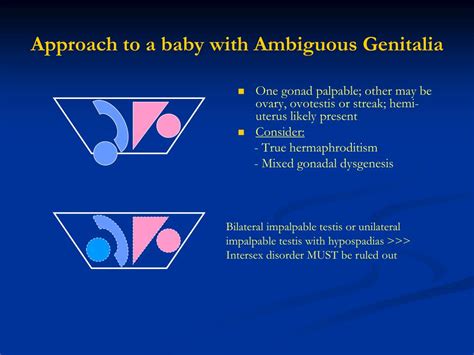 Ppt Ambiguous Genitalia Powerpoint Presentation Free Download Id4837868