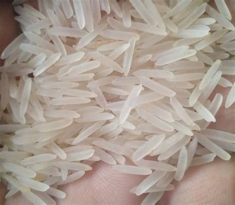 Indian Long Grain Pure 1121 White Sella Basmati Riceindia Price