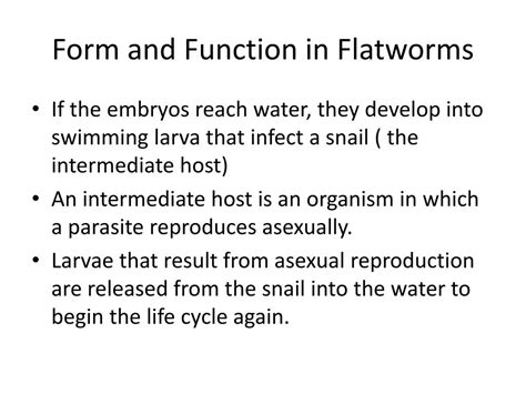 Ppt Chapter 27 Worms And Mollusks Powerpoint Presentation Free