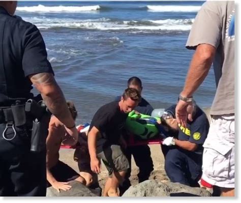 Surfer Critically Injured After Shark Bite At Kauai Beach Hawaii