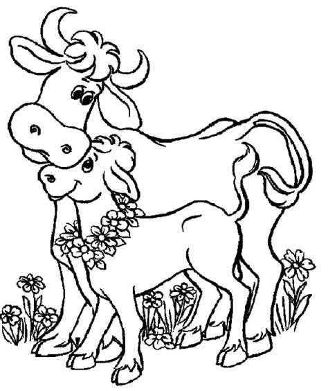 Baby Cows And Her Mother Coloring Pages Kids Play Color