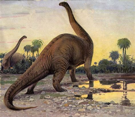 Brontosaurus Prähistorische Lebewesen Und Erdzeitalter Wiki Fandom