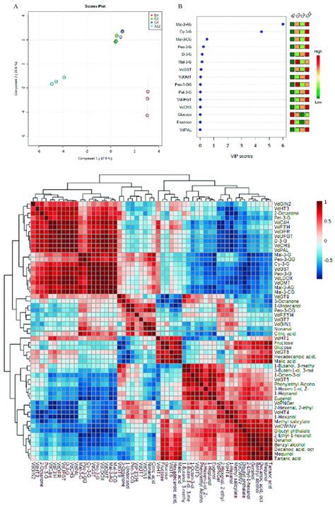 Multivariate Statistical Analysis A Score Plot Of Partial Download Scientific Diagram