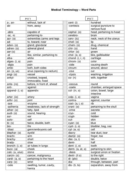Printable Anatomical Terminology Worksheets