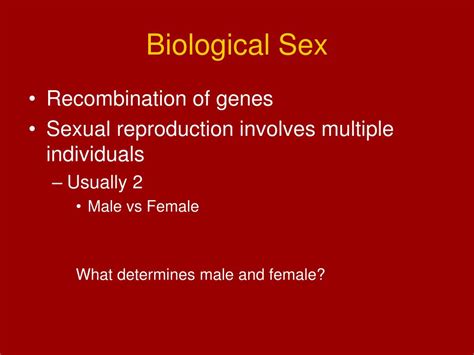 ppt sex differences powerpoint presentation free download id 351444