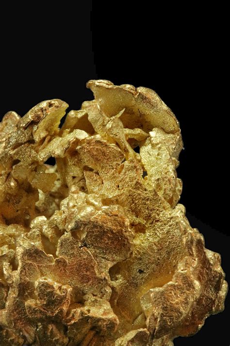 Wavy Leaf Gold Cluster Nugget A Rarity From Alaska 89500