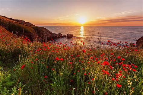 Morning With Poppies Reflection Coast Rocks Sunrise Sea Beautiful