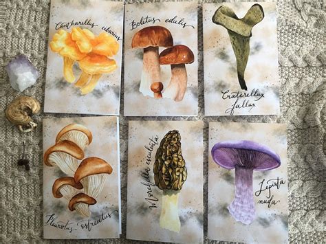 6 Edible Mushrooms Of North America Grimoire Page Greeting Etsy