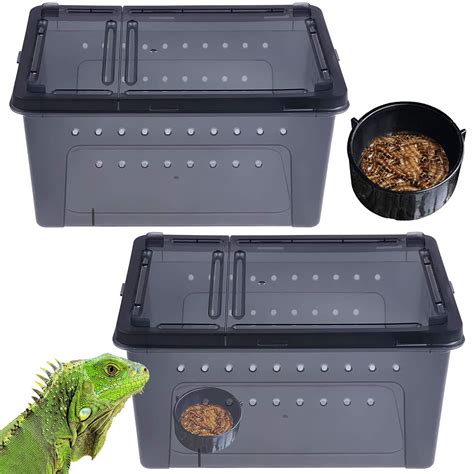 Buy Pinvnby Pcs Reptile Feeding Box Portable Snake Breeding Box Lizard Cage Hatching Container