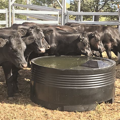 Water Troughs And Tanks Their Importance Benefits And More Fsp