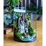 One Of A Kind Waterfall Curved Bookend Terrarium With Light