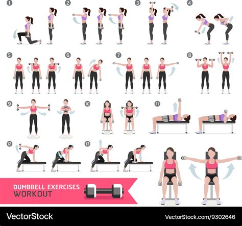Dumbbell Exercises Pdf Download Dumbbell Exercise At Home