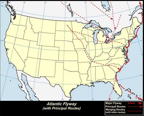 North American Bird Migration At