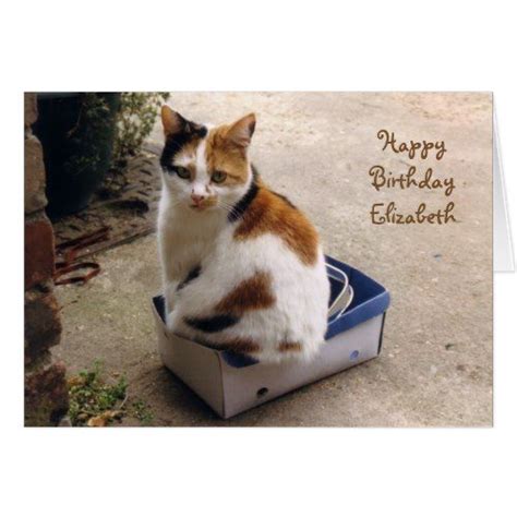 Personalized Calico Cat Sat In A Box Birthday Boxed
