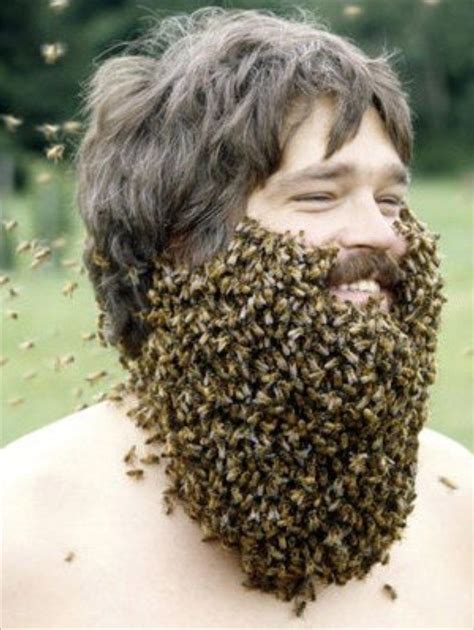 В Канаде В городе Онтарио ежегодно проводится соревнование Лучшая борода из пчел Bee Beard