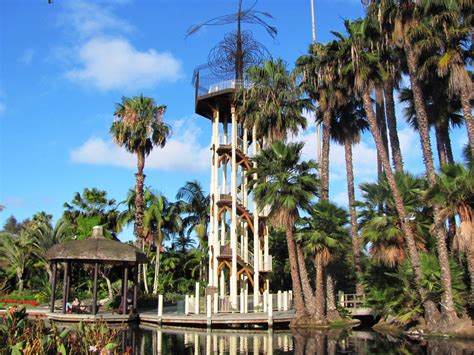 The Observation Tower At Paradise Point Resort On Mission Bay San