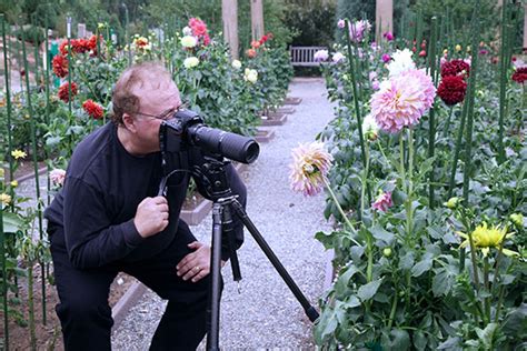 5 Tips For Your Best Flower Photography Yet