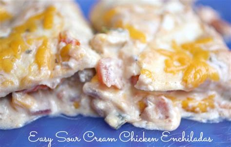 Sour cream and chicken fill these quick and easy enchiladas. Quick & Easy: Sour Cream Chicken Enchilada Recipe ...