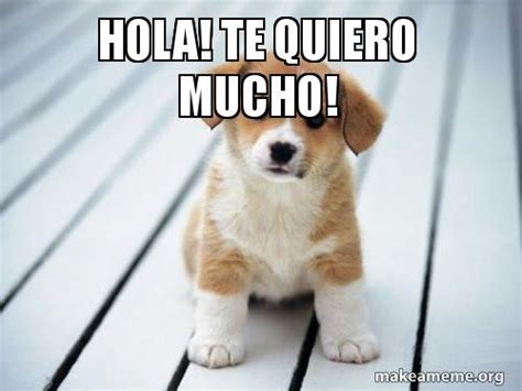 Hola! Te quiero mucho! - No repruebes calidad porfa, me da ...