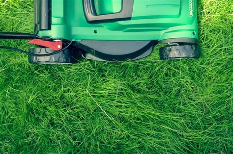 Top 10 Lawn Care Tips Landscape Fix