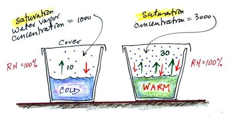 Saturation Of Air With Water Vapor Teaching Biology Vapor Teaching