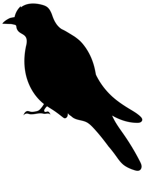 Free Photo Bird Silhouette Bird Contour Object Free Download