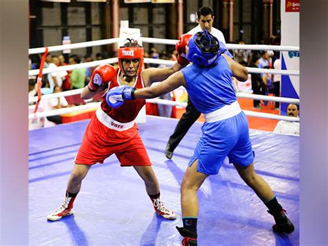 national youth boxing c ships 11 haryana women boxers reach semis sscb dominance continues