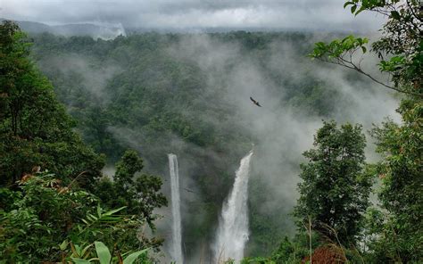 Rainy Forest Wallpapers Top Những Hình Ảnh Đẹp