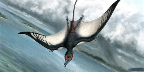 Cuddly Pterodactyls Science Musings