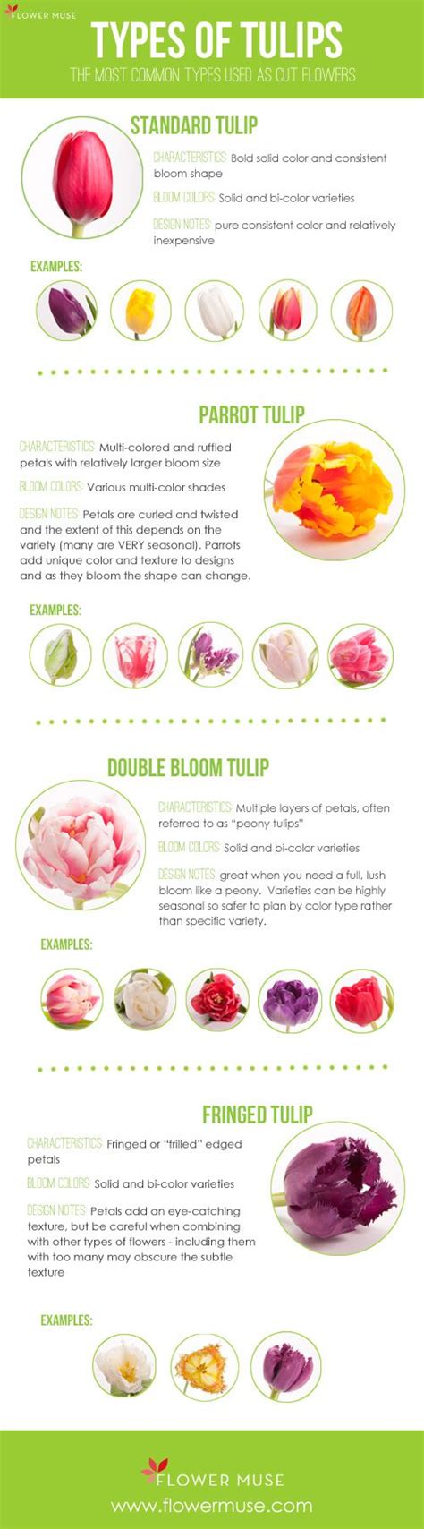 Jun 14, 2021 · flowers in shades of purple from light lilac to mauve and deep violet are beautiful to look at. Overview of the most common types of tulips used as cut ...