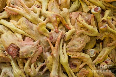 Chicken Heads And Feet Photograph By William H Mullins