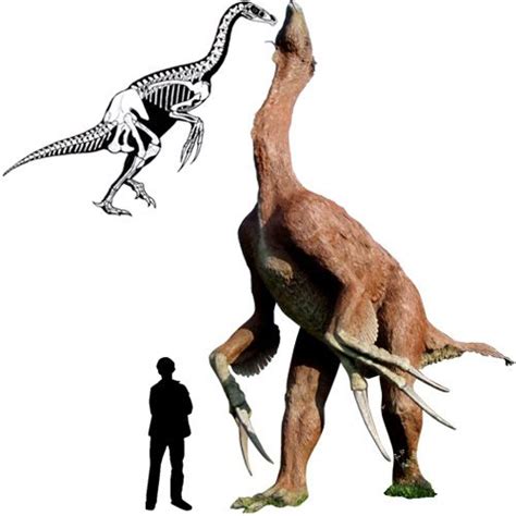 Therizinosaurus Dinosaurios Prehistoric Animals Dinosaur Fossils
