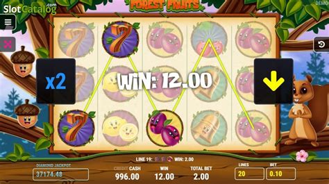 Forest Fruits Slot Free Demo And Game Review Apr 2024