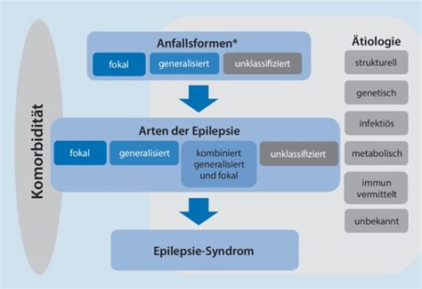 Klassifikation Von Epilepsien Aktualisierte Neufassung