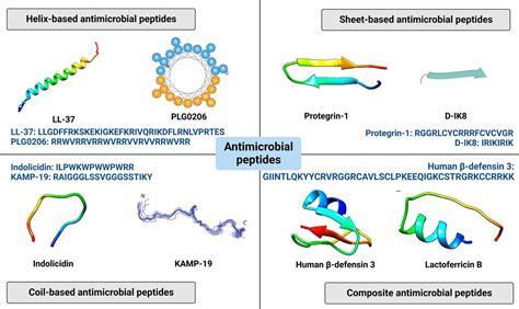 Frontiers Antimicrobial Peptides For Bone Tissue Engineering