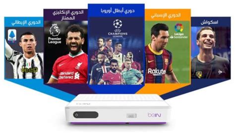 Bein Sports Decoders Delivery Renew World Wide Subscription Packages