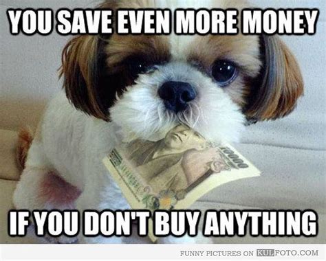 How To Save Money On Black Friday Funny How To Advice On