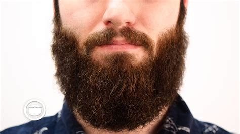 How to grow a thicker beard. 3 Natural Ways to Grow Your Beard Faster | Yeard Week 18 ...