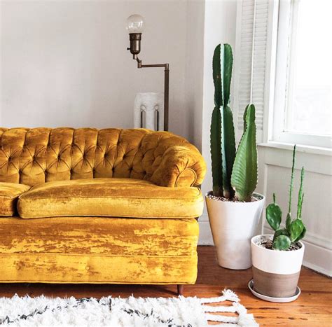 Try drive up, pick up, or same day delivery. Yellow Velvet Sofa Yellow Velvet Sofas Article - TheSofa