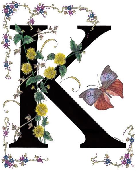 Kerria Japonica And Koh I Noor Butterfly By Stanza Widen Alphabet Art