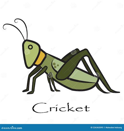 Grasshopper Cricket Insect Logo Vector Illustration Cartoondealer