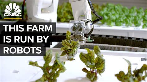 Watch Robots Grow Food Without Farmers Youtube